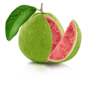 guava PNG18