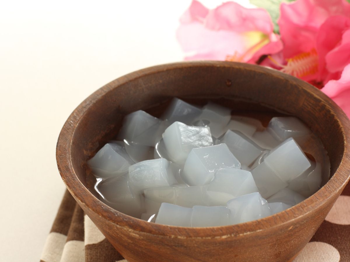 2023 Amazing Benefits of Nata de Coco for Health, Skin, and Hair