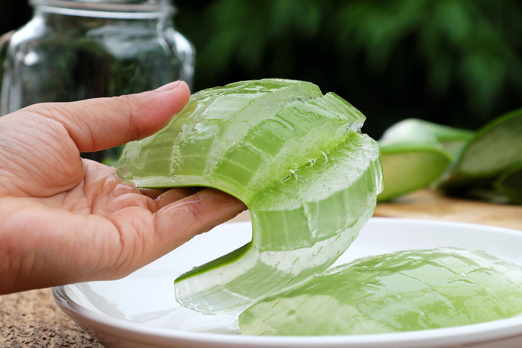 2023 Guide The Healthy Benefits of Drinking Aloe Vera Juice