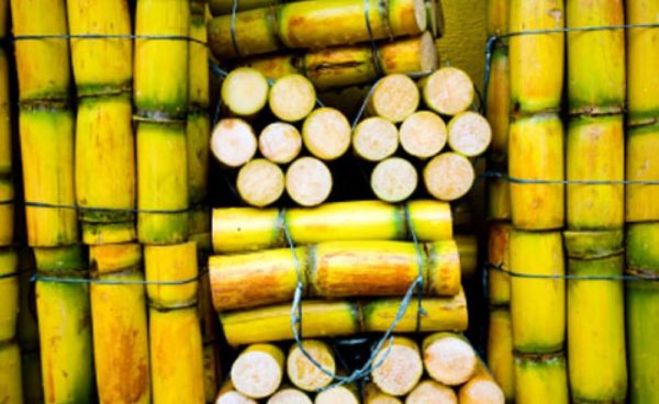 How to Make Sugarcane Juice