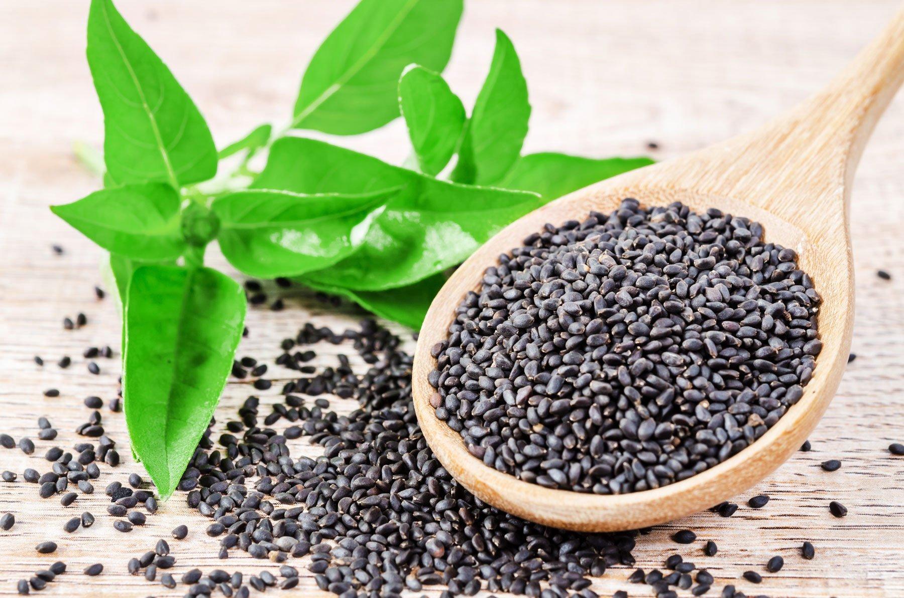 Understanding Basil Seeds Side Effects in 2023 Everything You Need to Know