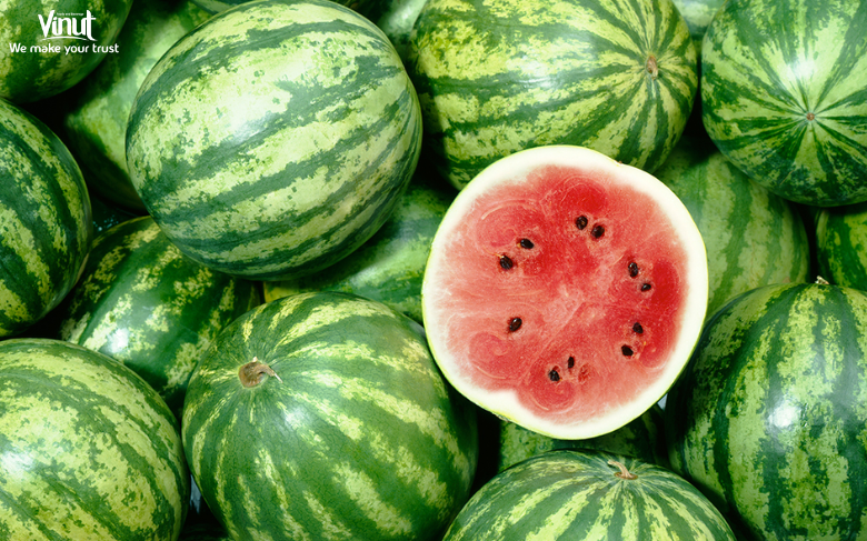 VINUT_The Origin Story of Watermelons