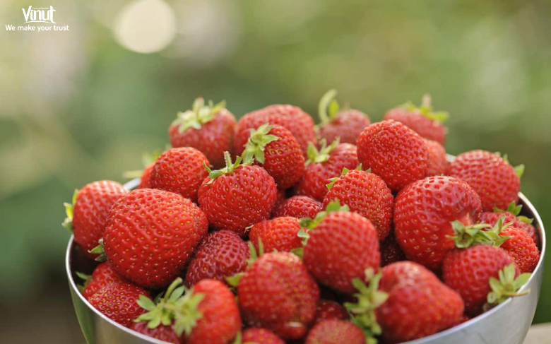 VINUT_Strawberries