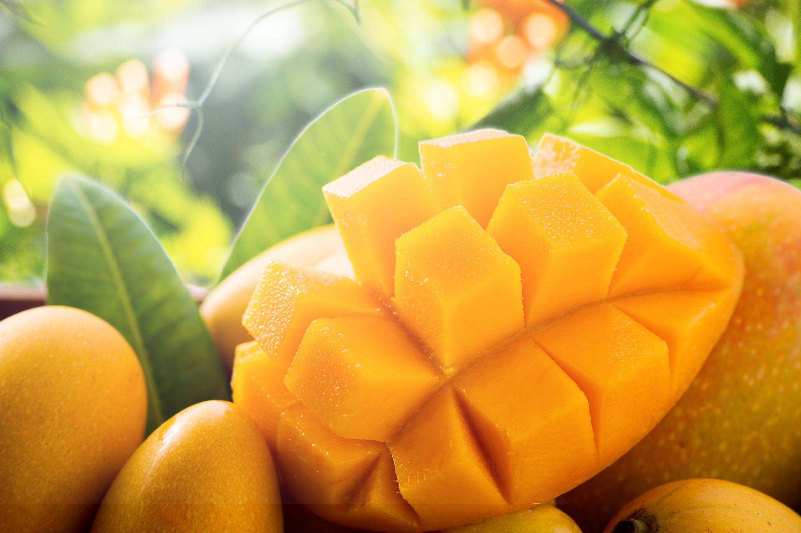 10 Benefits of Mango Juice Discover the Power of this Tropical Drink
