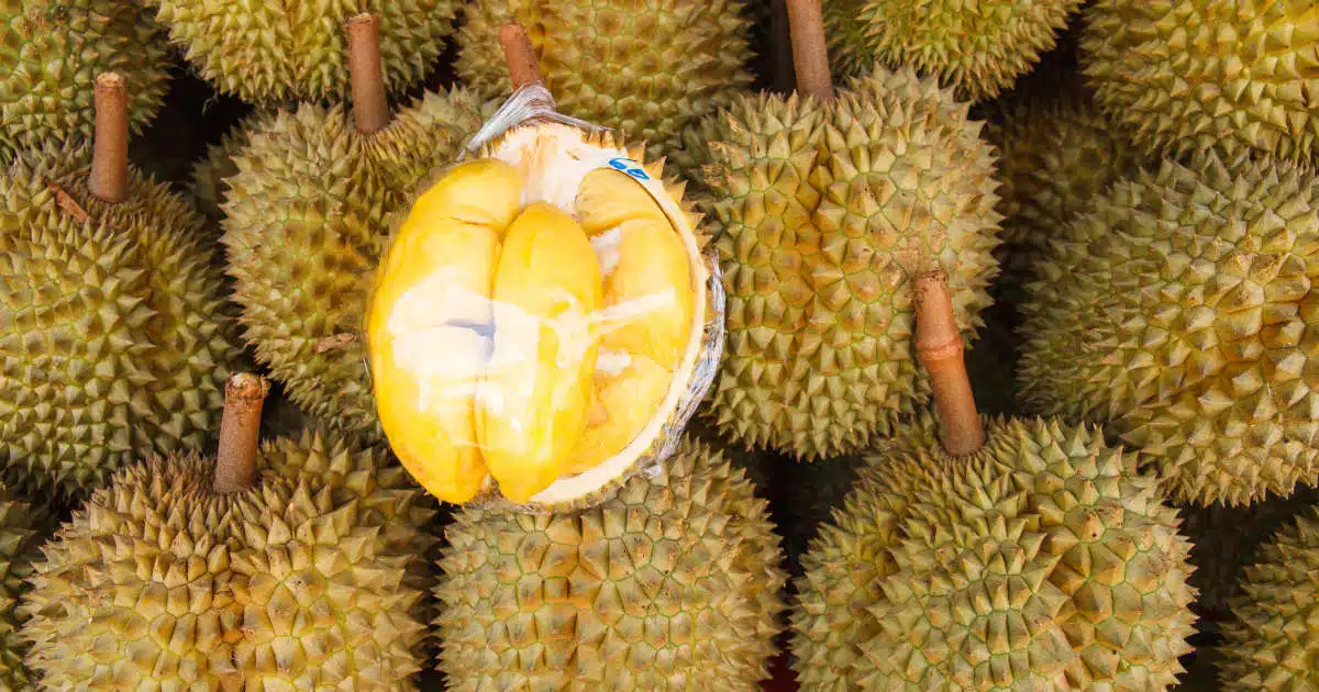 2023 Top 18 Most Famous Specialty Fruits in Vietnam