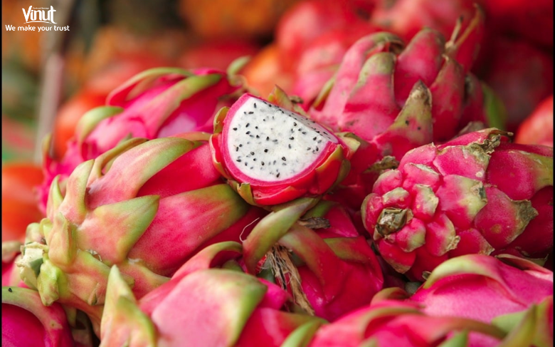 VINUT_Dragon Fruit: A Vibrant and Exotic Choice