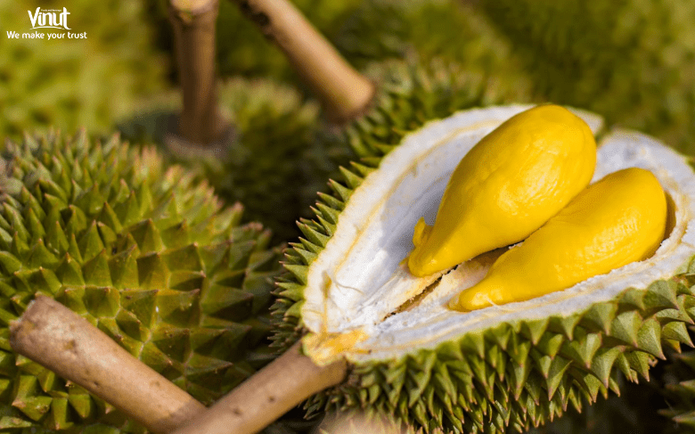 VINUT_Durian Varieties