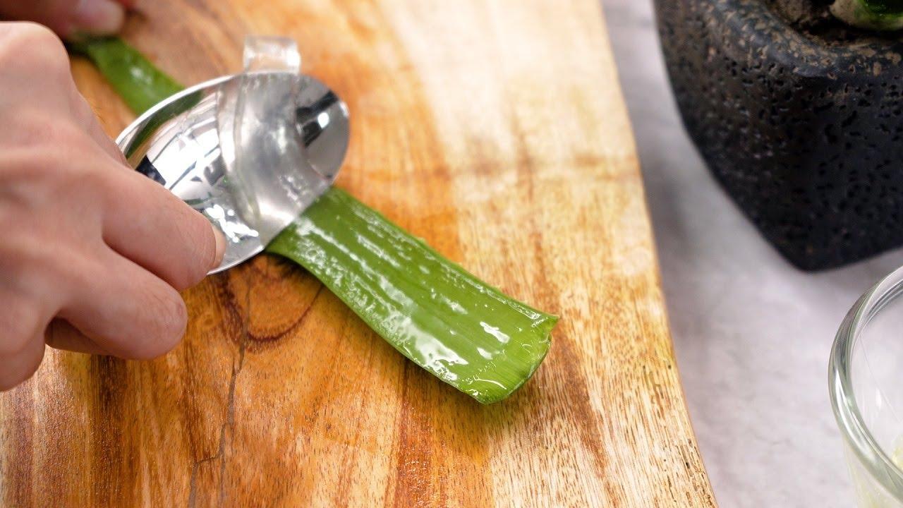 How Much Aloe Vera Juice to Drink Daily Benefits, Side Effects, and Best Time to Consume