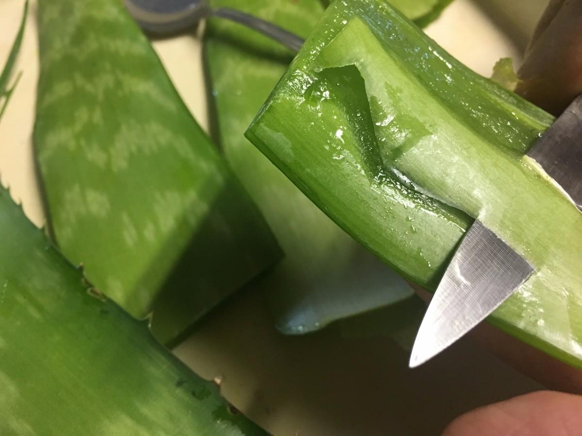 Making Homemade Aloe Vera Juice A Refreshing and Nutritious Beverage