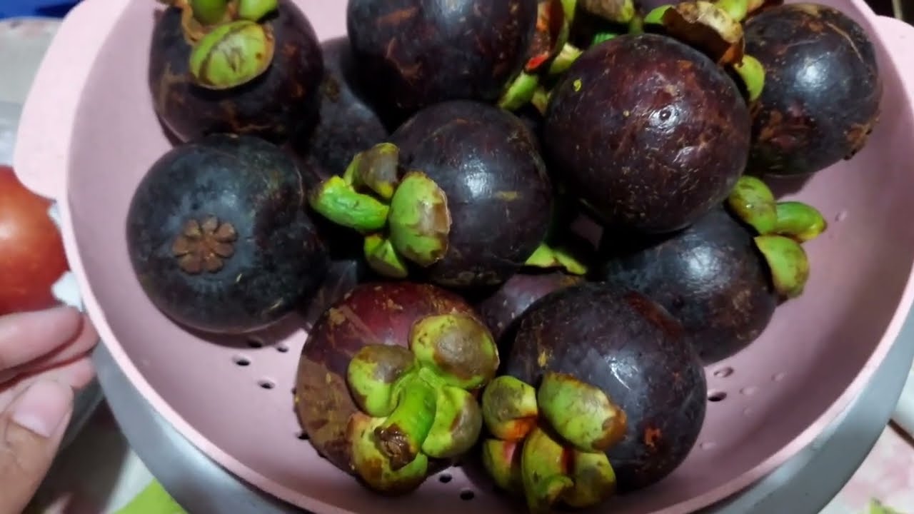 Mangosteen with Collagen Side Effects, Benefits, and Arthritis Relief