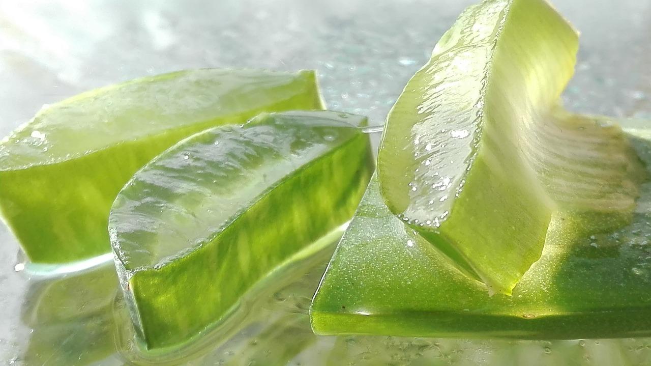 The Incredible Benefits of Aloe Vera for Health Unlocking the Power of Nature