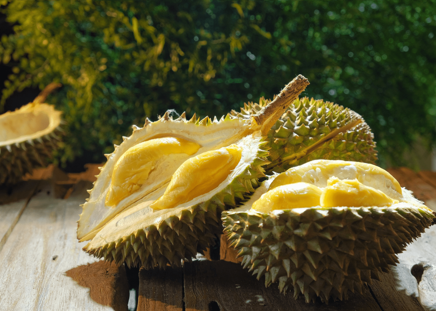The Most Delicious Tropical Fruits of Vietnam 2023
