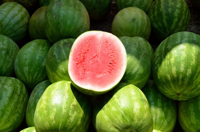 The Refreshing Delight Aloe Vera Watermelon Drink