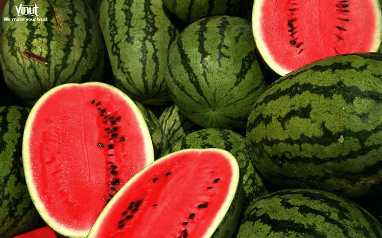 VINUT_Watermelon