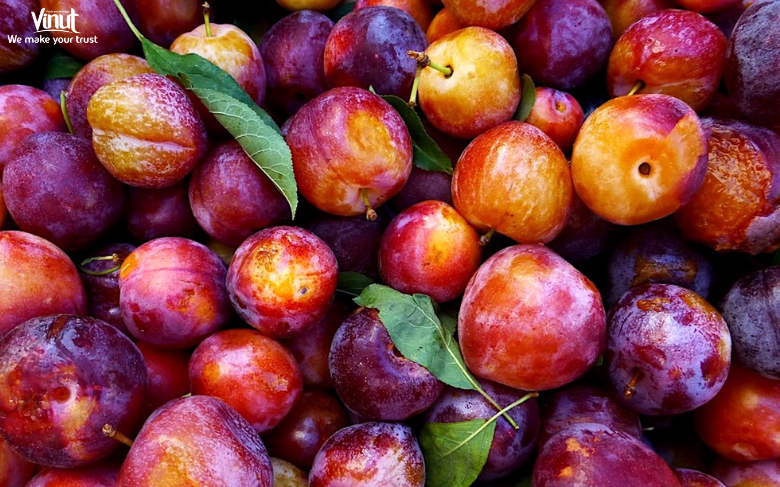 VINUT_Nutritional Overview of Plums
