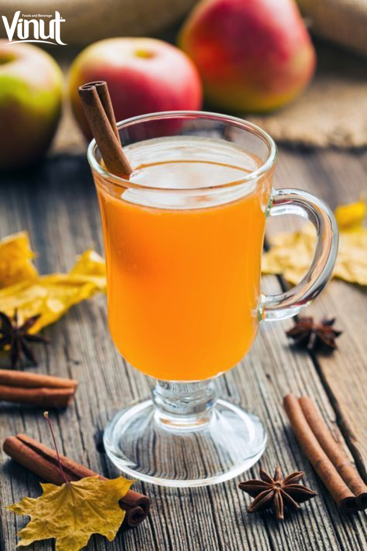 VINUT_ Hot Apple Cider: A Taste of Christmas in Every Sip