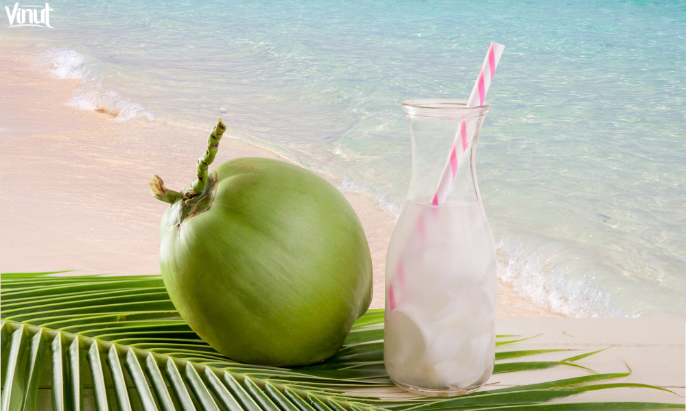 VINUT_Why has Coconut Water Become a Popular Beverage?