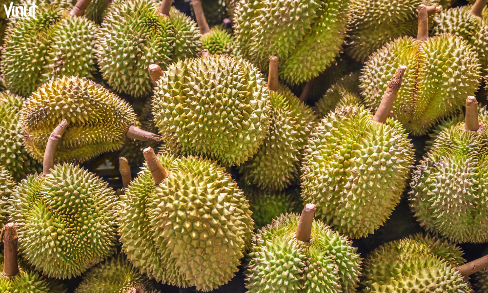 VINUT_Durians: The Controversial Delicacy