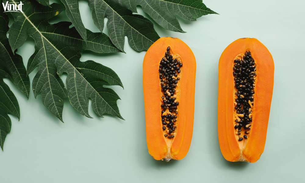 VINUT_The Origins of Papaya