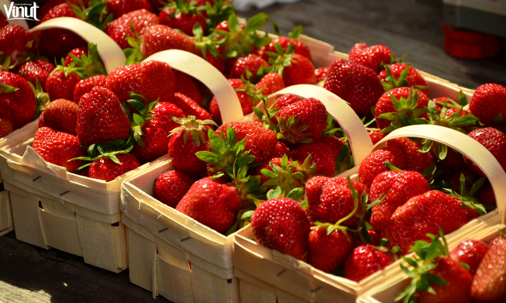VINUT_A Brief History of Strawberries