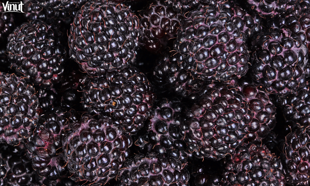 VINUT_Purple Raspberries
