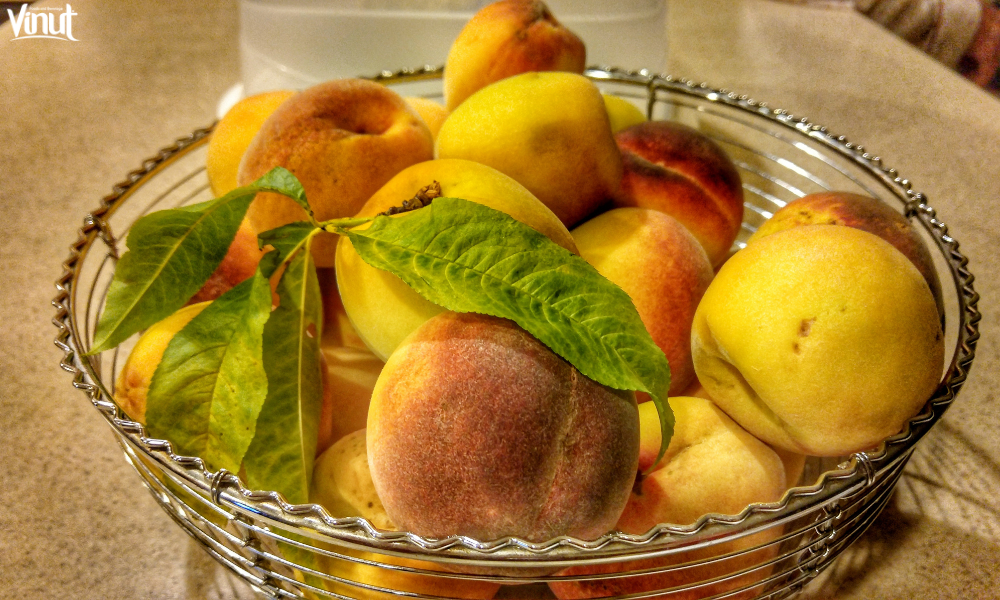 VINUT_Yellow Peaches
