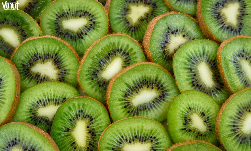 VINUT_Fun Facts About Kiwi Fruit