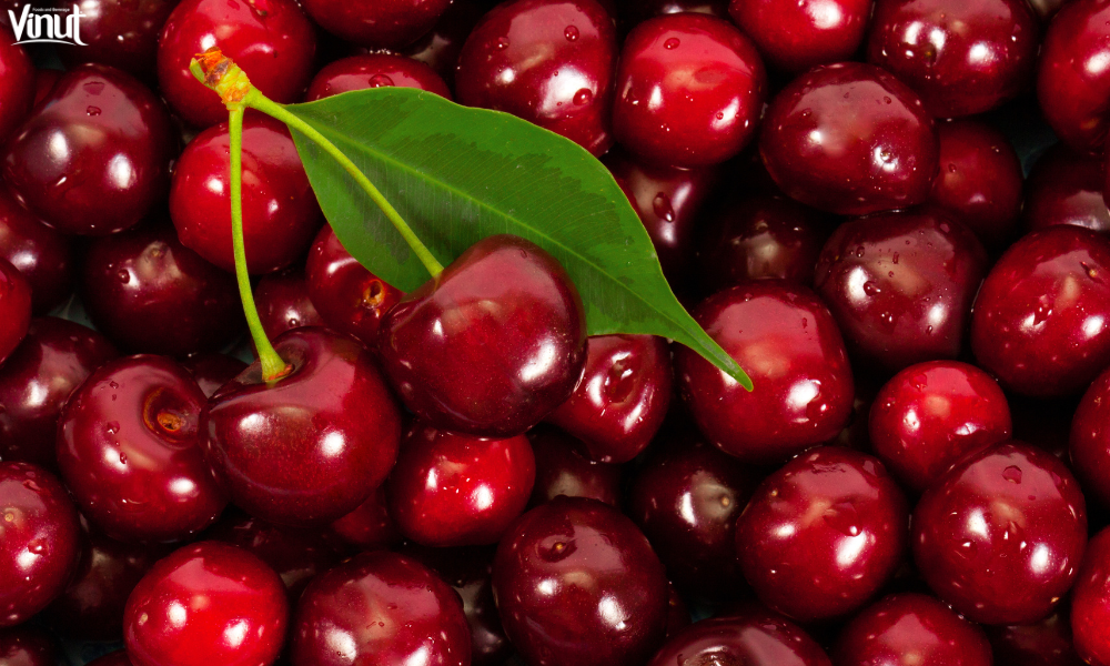 VINUT_A Brief History of Cherries
