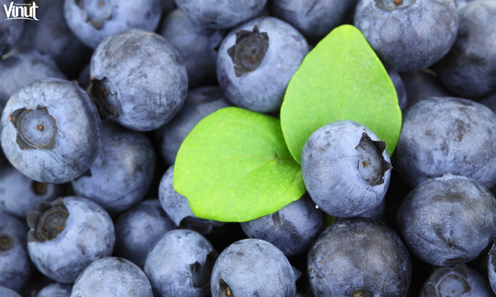 VINUT_Incorporating Blueberries into Your Diet