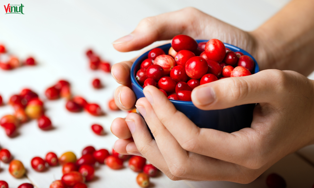 VINUT_Nutritional Profile of Cranberry
